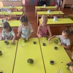 зображення Viber 2026 02 25 09 29 17 418