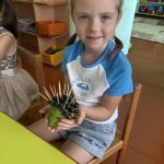 зображення Viber 2026 02 25 09 30 44 339