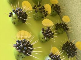 зображення Viber 2026 02 25 09 31 02 469