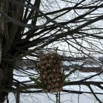 зображення Viber 2026 02 25 09 31 29 872