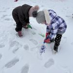 зображення Viber 2026 02 25 10 09 06 300