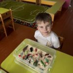 зображення Viber 2026 06 03 12 51 45 406 – копія